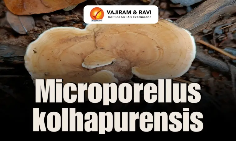 Microporellus kolhapurensis