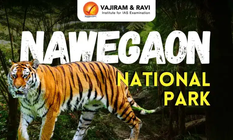 nawegaon national park