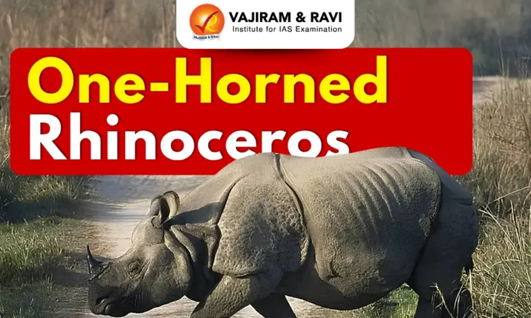 Greater One-Horned Rhinoceros