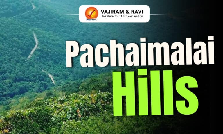 Pachaimalai Hills