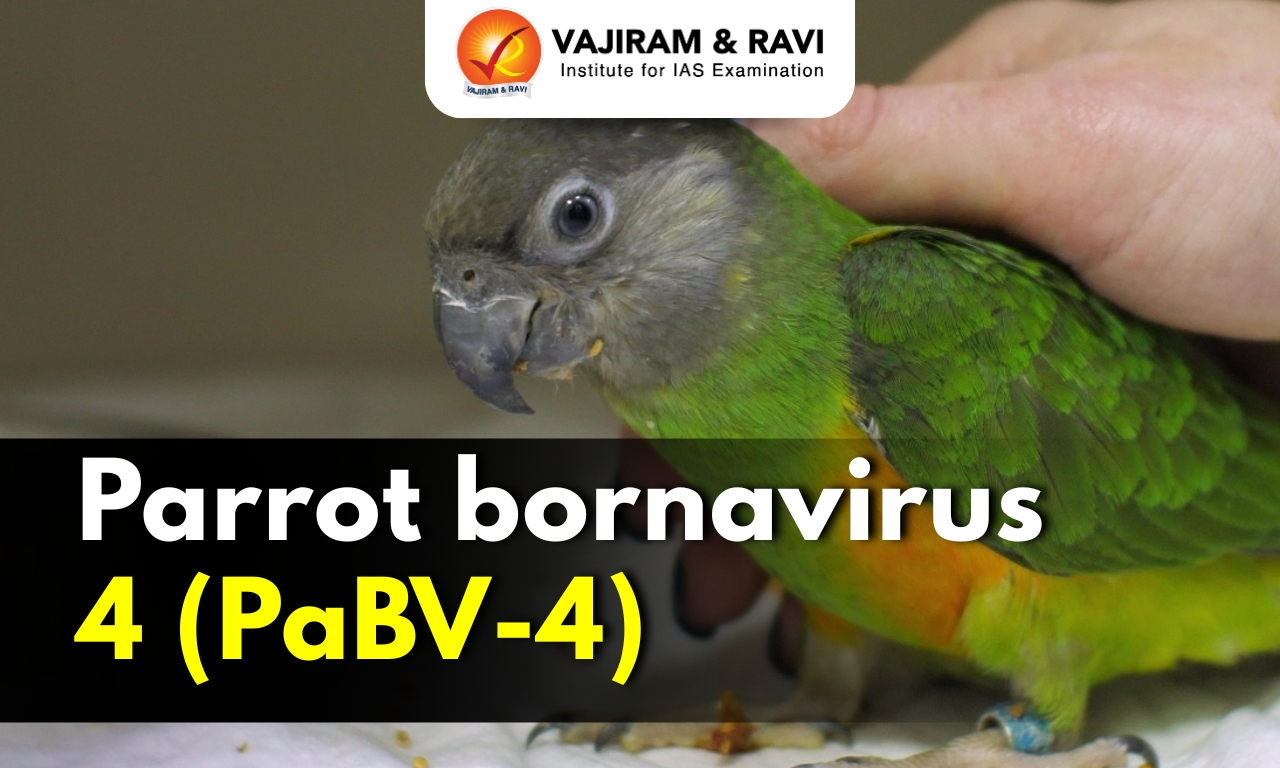 Parrot bornavirus 4 (PaBV-4)