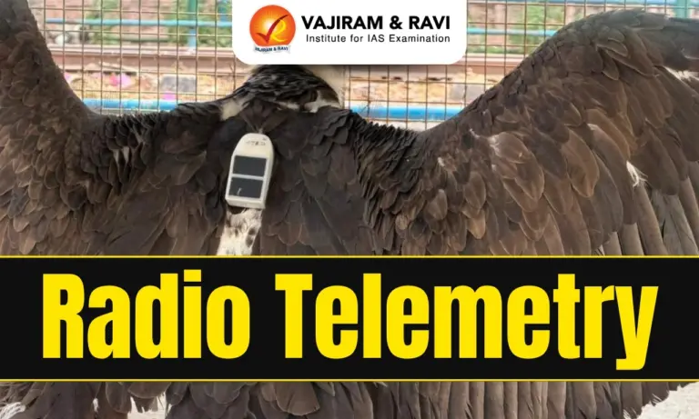 Radio Telemetry