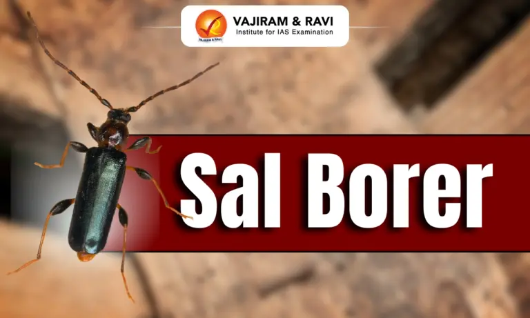 Sal Borer