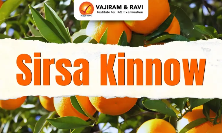Sirsa Kinnow