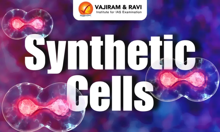Synthetic Cells