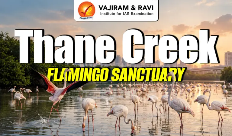 Thane Creek Flamingo Sanctuary