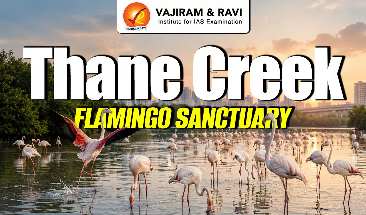Thane Creek Flamingo Sanctuary