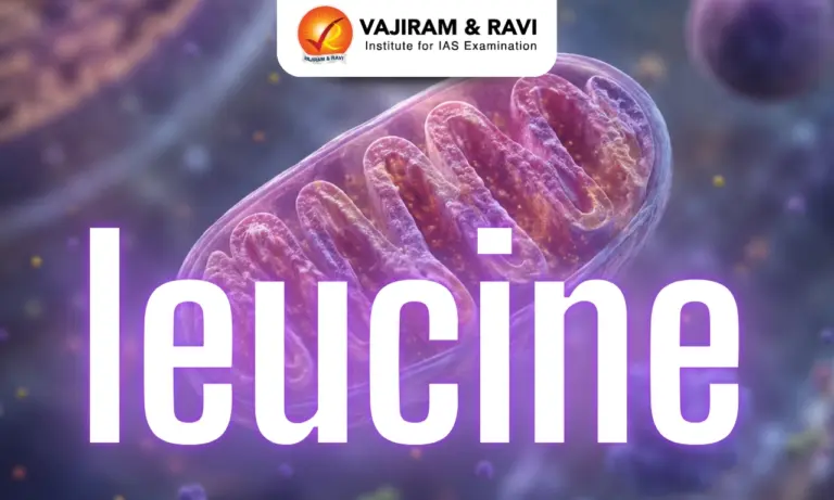 Leucine