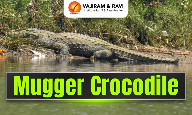 Mugger Crocodile