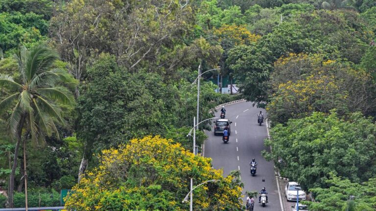 Green India Mission - Achievements, Challenges and CAG Audit Findings