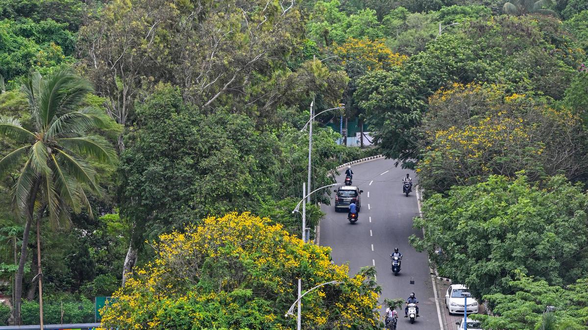 Green India Mission - Achievements, Challenges and CAG Audit Findings