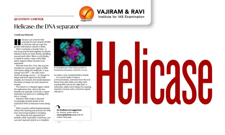 Helicase