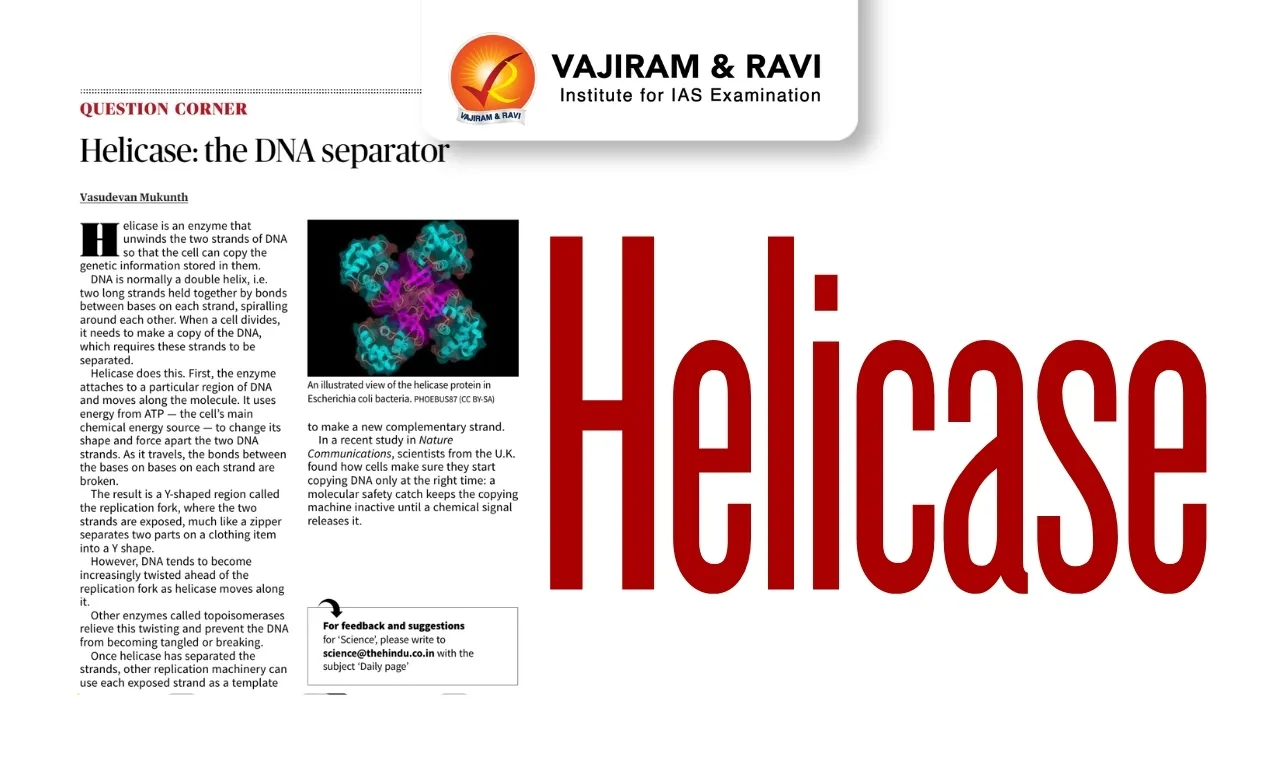 Helicase
