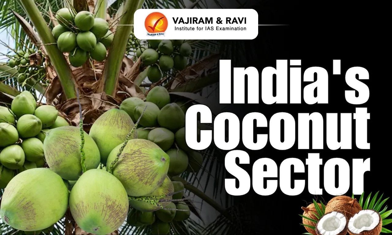 India’s Coconut Sector