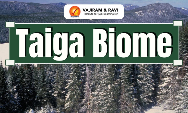 Taiga Biome