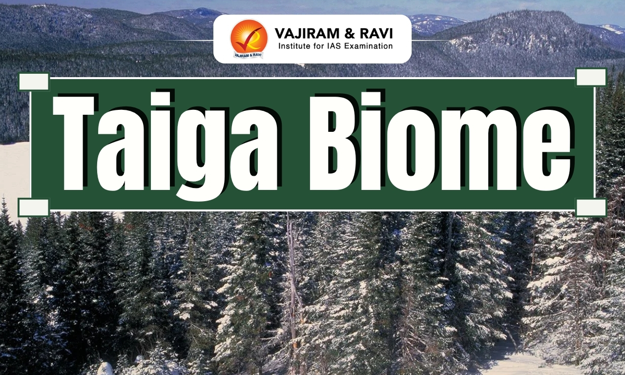 Taiga Biome