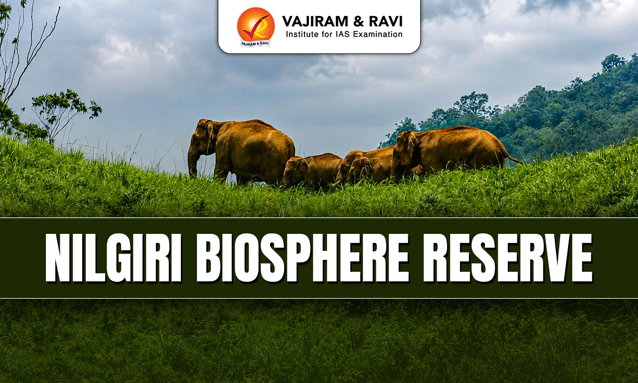 Nilgiri Biosphere Reserve