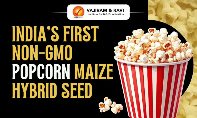 India’s First Non-GMO Popcorn Maize Hybrid Seed
