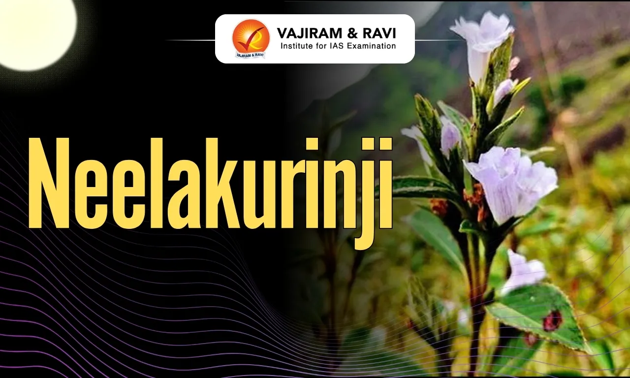 Neelakurinji