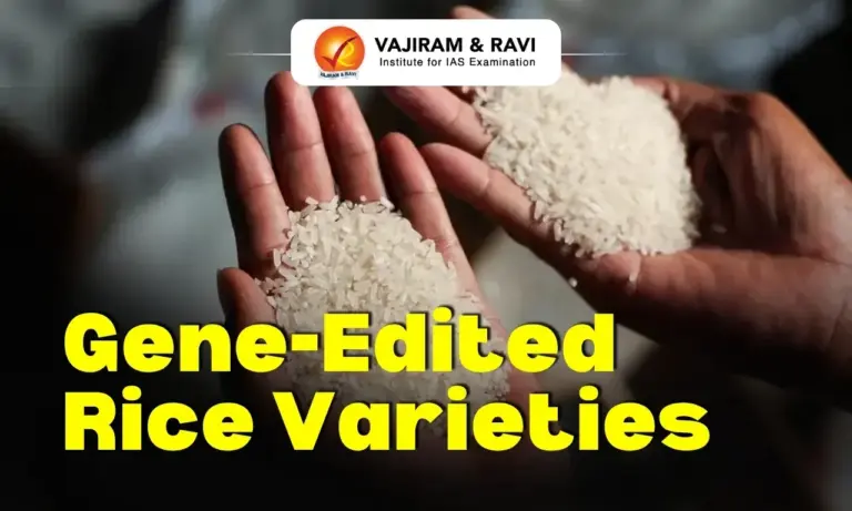 Gene-Edited Rice Varieties
