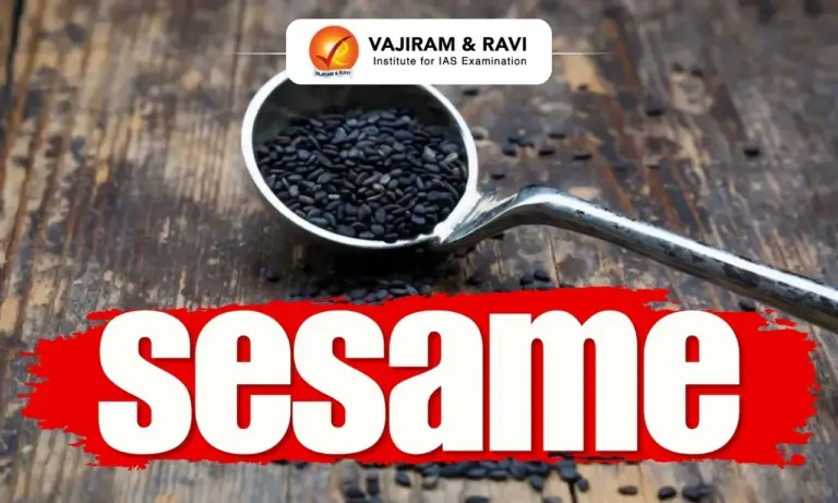 Sesame