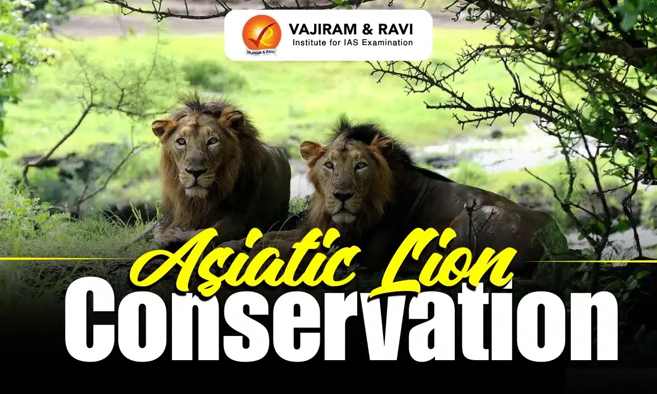 Asiatic Lion Conservation