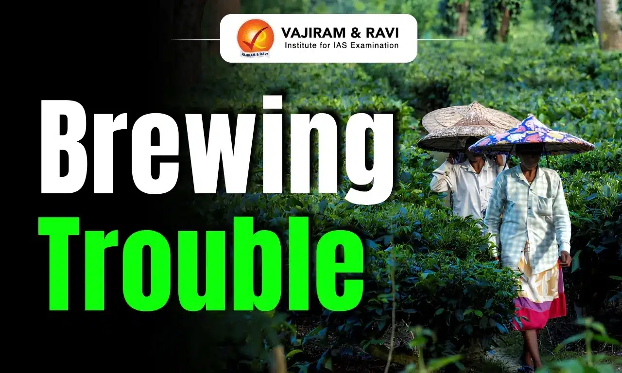 Brewing Trouble