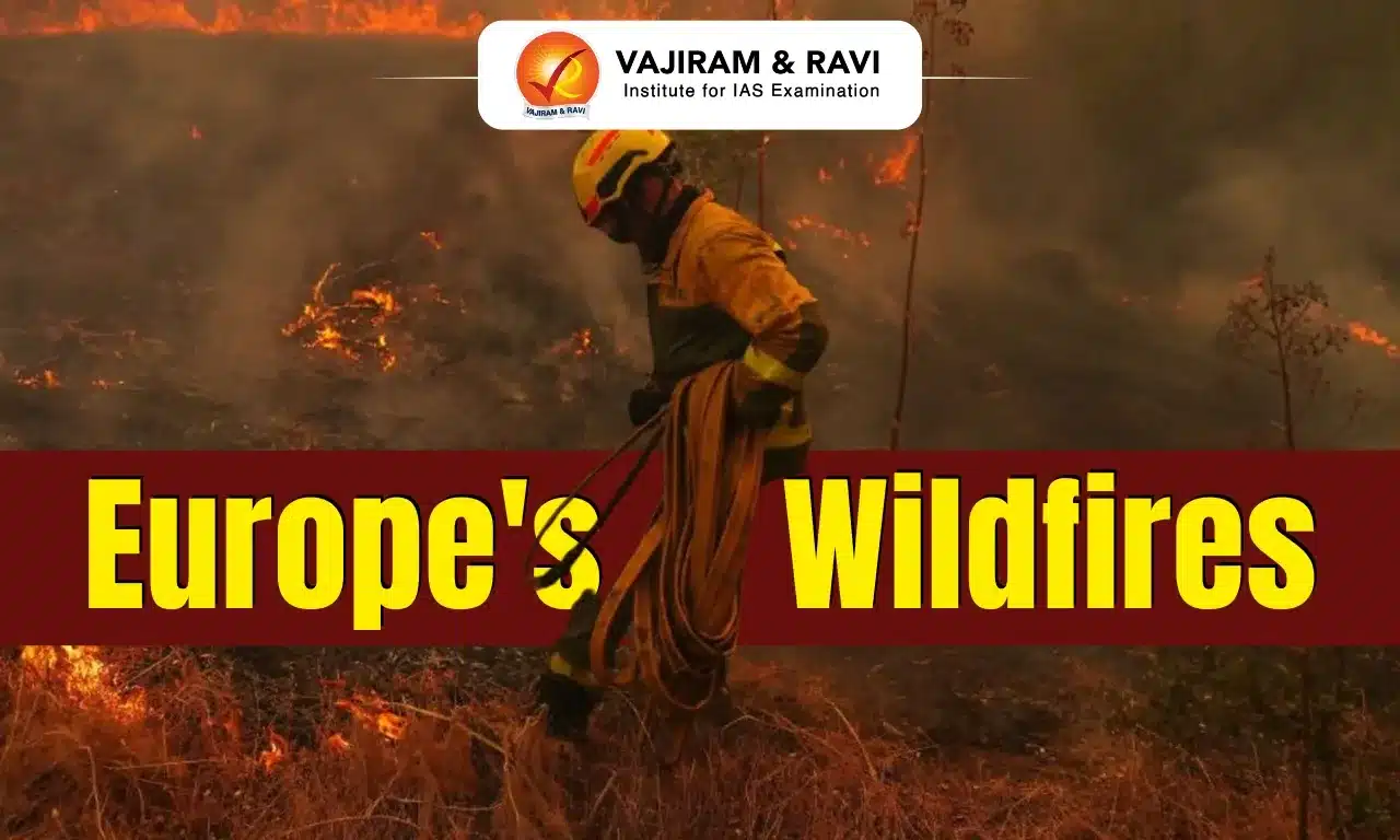 Europe's Wildfires