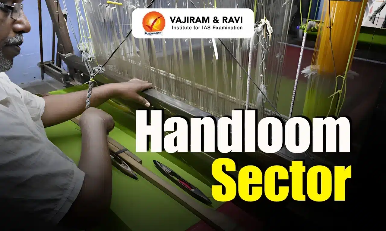 Handloom Sector