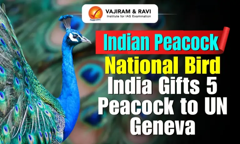 Indian Peacock