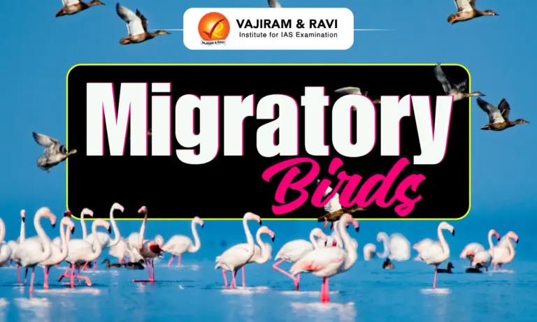 Migratory Birds