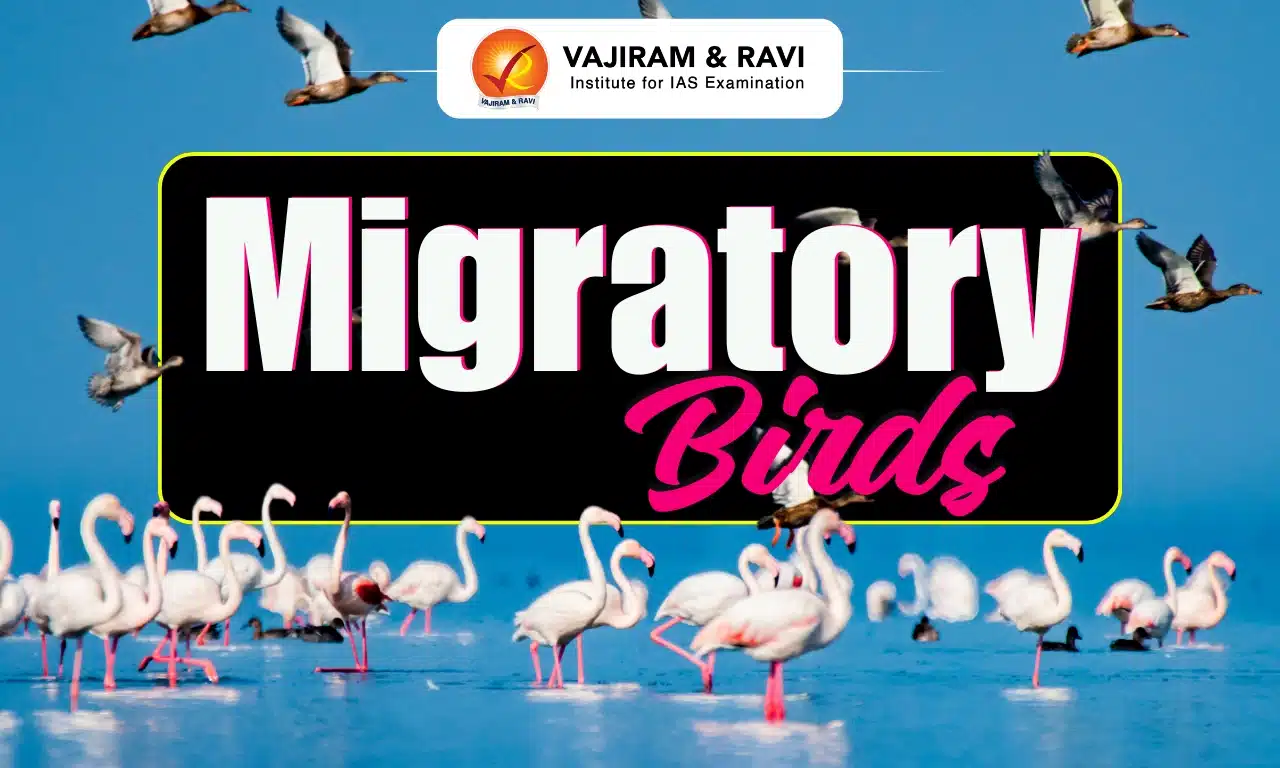 Migratory Birds