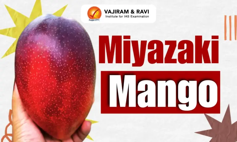 Miyazaki Mango