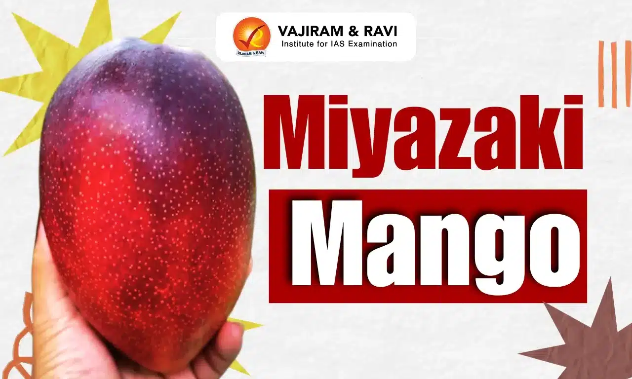 Miyazaki Mango