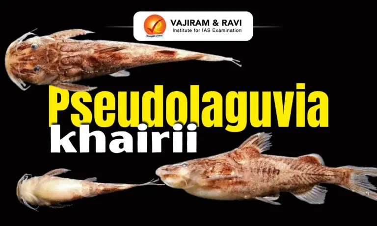Pseudolaguvia khairii