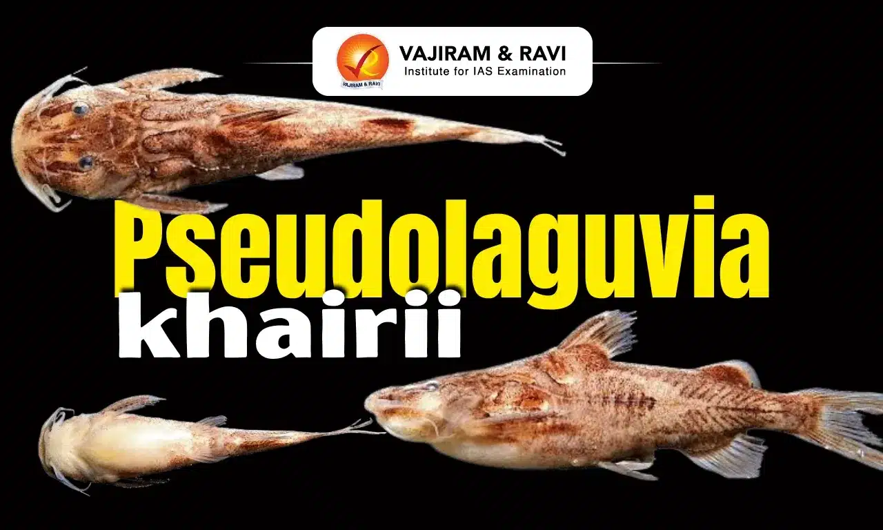 Pseudolaguvia khairii