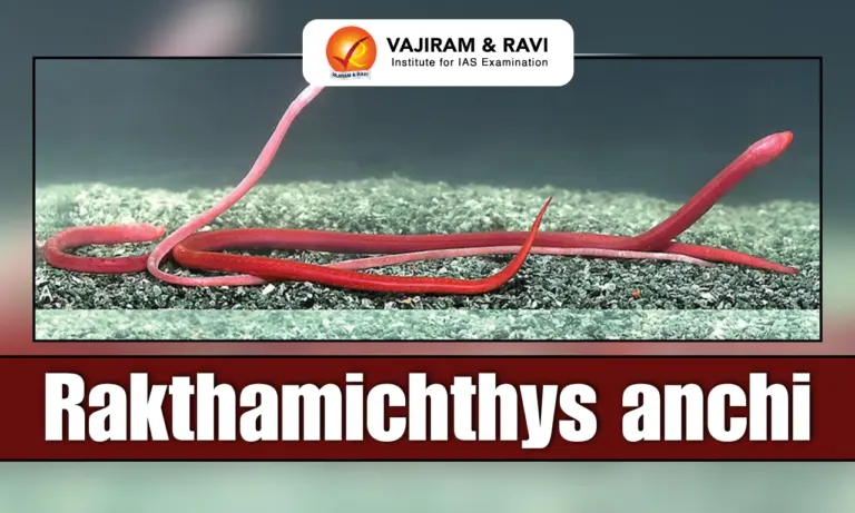 Rakthamichthys anchi