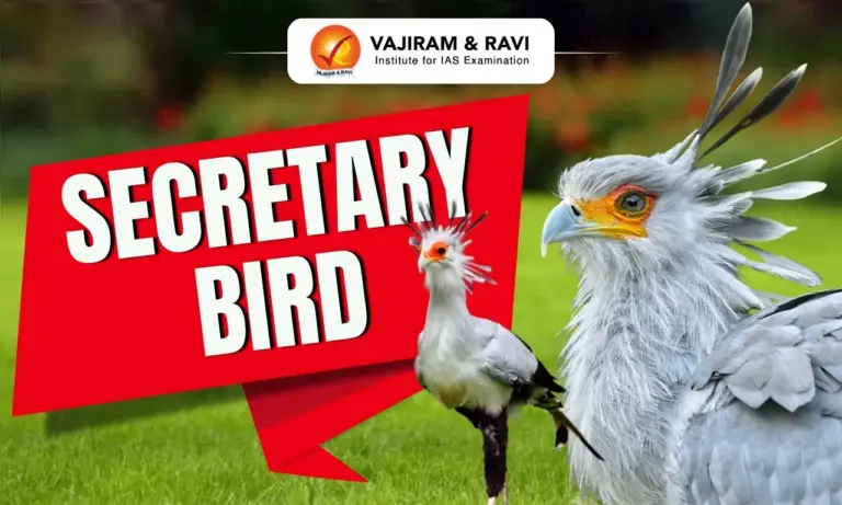 Secretary Bird