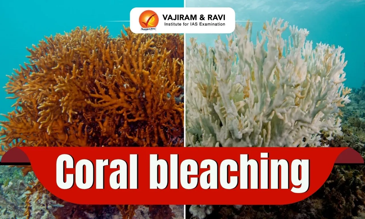 Coral Bleaching