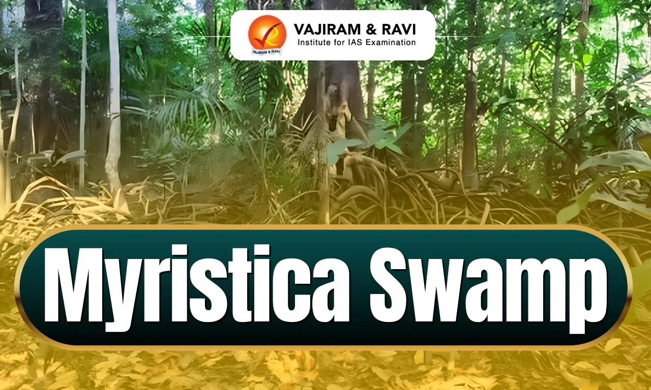 Myristica Swamps