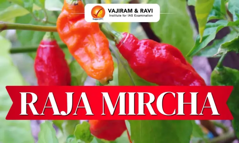 Raja Mircha