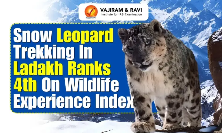 Snow Leopard Trekking in Ladakh Ranks 4th on Wildlife Experience Index