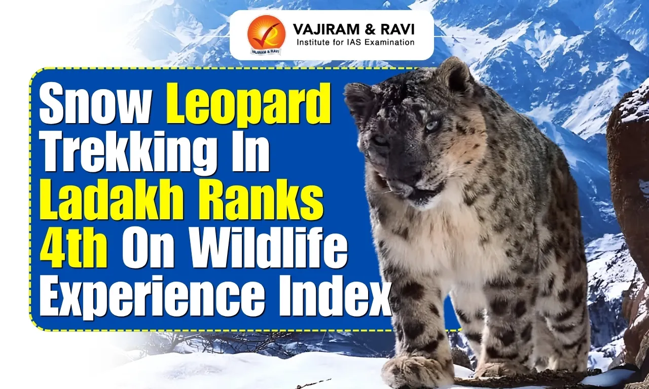 Snow Leopard Trekking in Ladakh Ranks 4th on Wildlife Experience Index