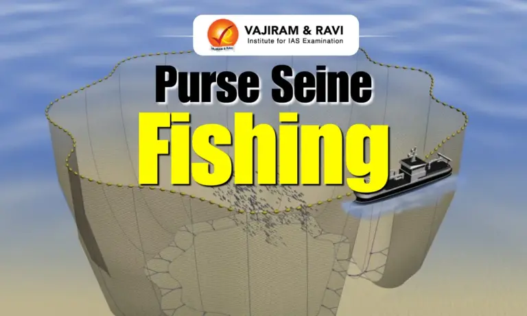 Purse Seine Fishing