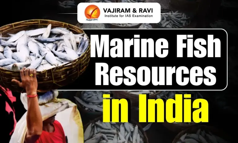 Marine Fish Resources in India