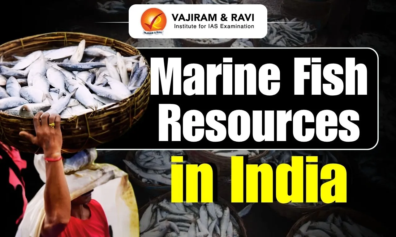 Marine Fish Resources in India