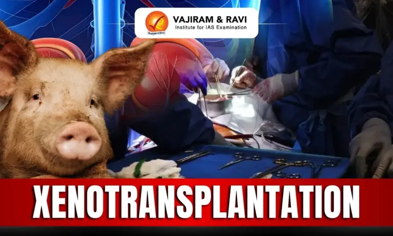 Xenotransplantation