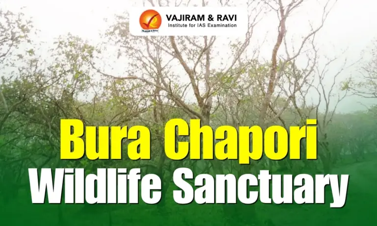 Bura Chapori Wildlife Sanctuary