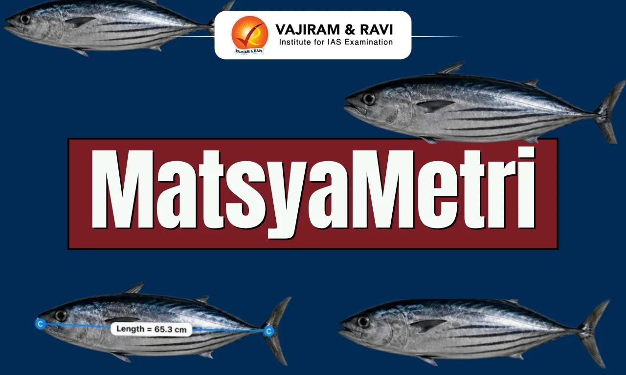 MatsyaMetri