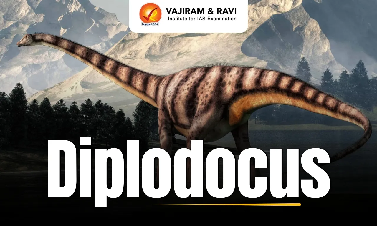 Diplodocus